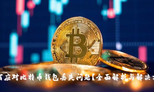 如何应对比特币钱包丢失问题?全面解析与解决方案