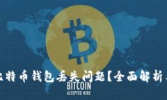 如何应对比特币钱包丢失问题?全面解析与解决
