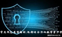 区块链常见钱包类型解析:选择适合你的数字资