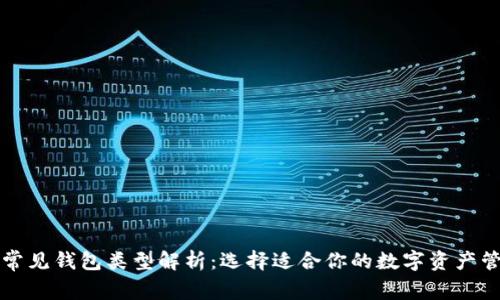 区块链常见钱包类型解析:选择适合你的数字资产管理工具
