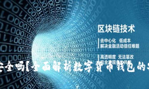 网上比特币钱包安全吗?全面解析数字货币钱包的安全性与防护措施