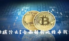 比特币钱包地址填什么?全面解析比特币钱包的