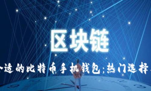 如何选择最合适的比特币手机钱包：热门选择与安全性分析