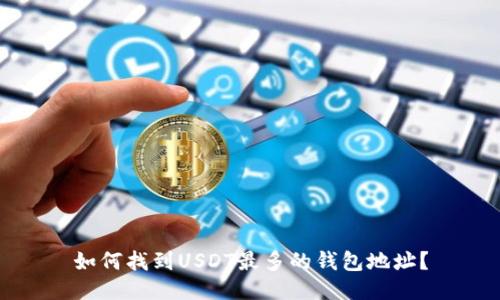 如何找到USDT最多的钱包地址?