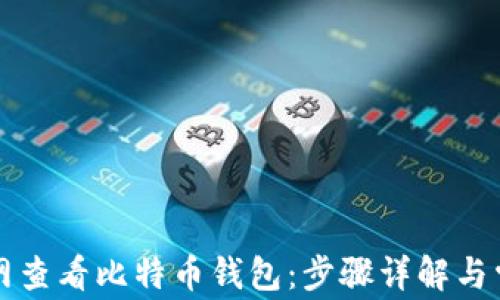 
如何在火币网查看比特币钱包：步骤详解与常见问题解析