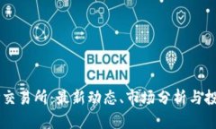 币圈TP交易所：最新动态、市场分析与投资策略