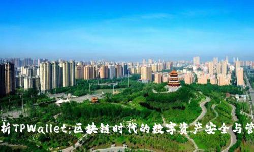 全面解析TPWallet：区块链时代的数字资产安全与管理利器