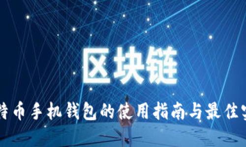比特币手机钱包的使用指南与最佳实践