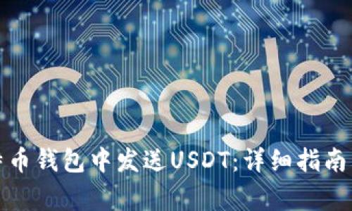 如何在比特币钱包中发送USDT:详细指南与注意事项
