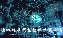 全面解读比特币钱包数据位置及其安全性