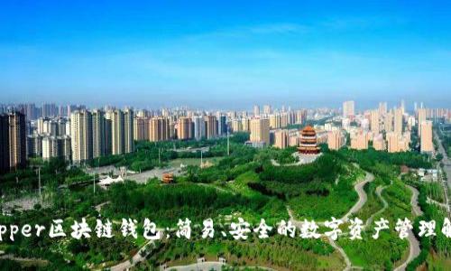 探索Dapper区块链钱包:简易、安全的数字资产管理解决方案