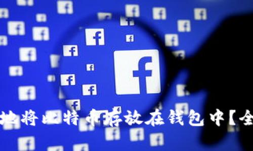 如何安全地将比特币存放在钱包中？全方位指南