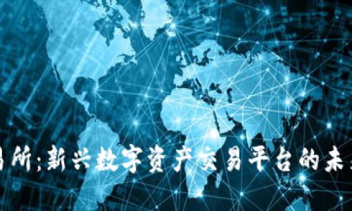 TP交易所：新兴数字资产交易平台的未来探索