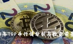 2023年TOP币行情分析与投资前景展望