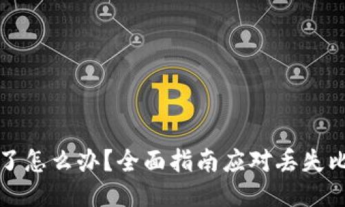 比特币钱包丢失了怎么办？全面指南应对丢失比特币钱包的挑战