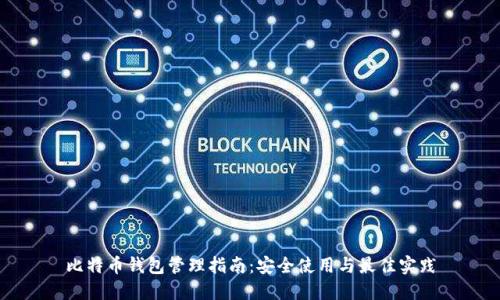 比特币钱包管理指南:安全使用与最佳实践