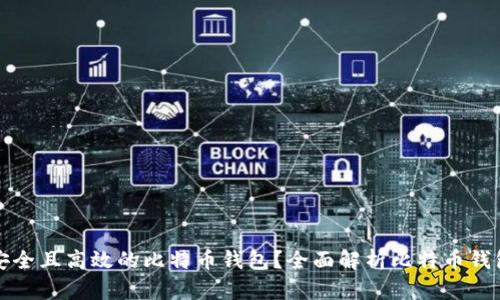 如何选择一个安全且高效的比特币钱包？全面解析比特币钱包的类型与功能