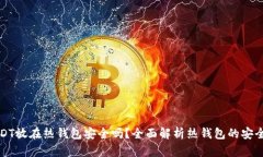 USDT放在热钱包安全吗？全面解析热钱包的安全性