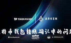 如何解决比特币钱包转账确认中的问题：全面指