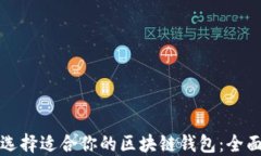 如何选择适合你的区块链钱包：全面指南