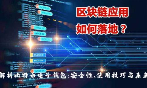 全面解析比特币电子钱包：安全性、使用技巧与未来趋势