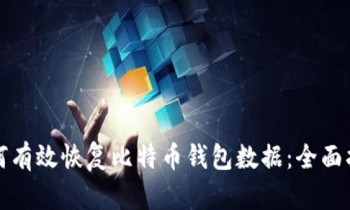 如何有效恢复比特币钱包数据:全面指南