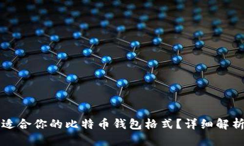 如何选择最适合你的比特币钱包格式？详细解析与最佳实践