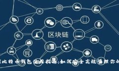 新手必看！比特币钱包使用指南：如何安全高效