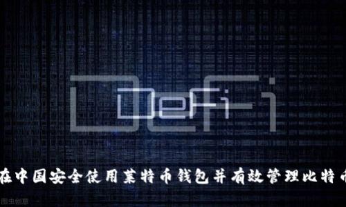 如何在中国安全使用莱特币钱包并有效管理比特币资产