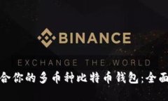 如何选择适合你的多币种比特币钱包：全面指南