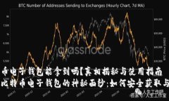 比特币电子钱包能拿到吗？真相揭秘与使用指南