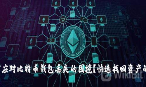  如何应对比特币钱包丢失的困境？快速找回资产的方法