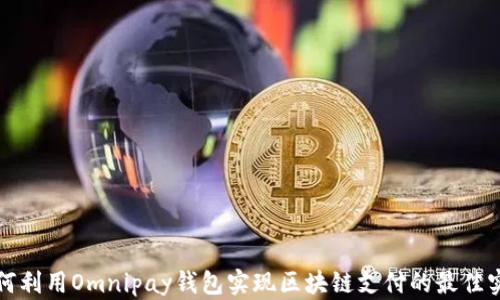 
如何利用Omnipay钱包实现区块链支付的最佳实践