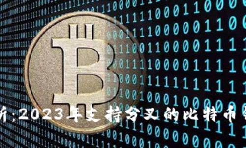 全面解析：2023年支持分叉的比特币钱包推荐