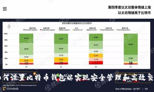 如何设置比特币钱包以实现安全管理和高效交易