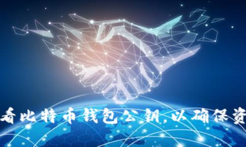 如何查看比特币钱包公钥，以确保资产安全