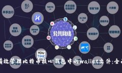 如何有效管理比特币核心钱包中的wallet文件：全