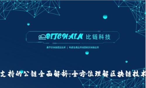 TP钱包支持的公链全面解析：全方位理解区块链技术的力量