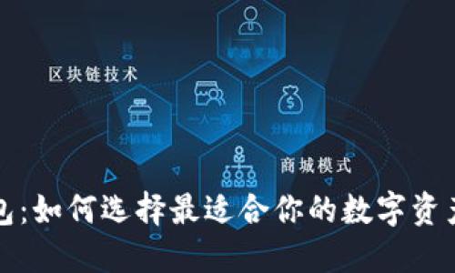 TP美版钱包：如何选择最适合你的数字资产管理工具