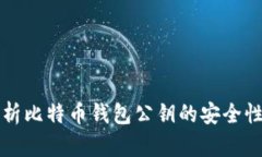 全面解析比特币钱包公钥的安全性与功能