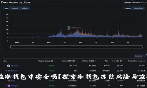 USDT在冷钱包中安全吗？探索冷钱包冻结风险与应对策略