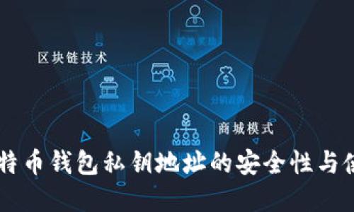 了解比特币钱包私钥地址的安全性与使用技巧