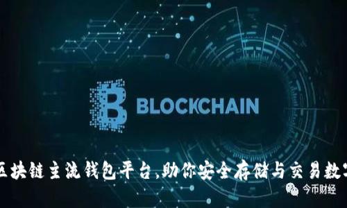 十大区块链主流钱包平台，助你安全存储与交易数字资产