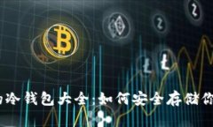 USDT支持的冷钱包大全：如何安全存储你的数字资