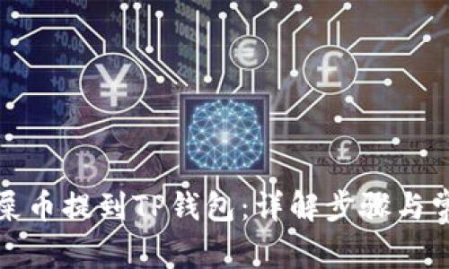 如何将屎币提到TP钱包：详解步骤与常见问题