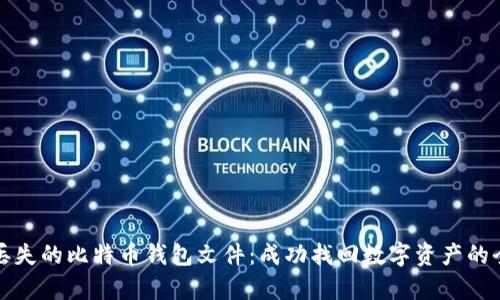 如何恢复丢失的比特币钱包文件：成功找回数字资产的全方位指南