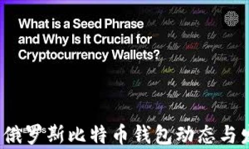 
2023年最新俄罗斯比特币钱包动态与发展趋势分析