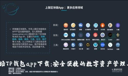 :波场TP钱包app下载：安全便捷的数字资产管理工具