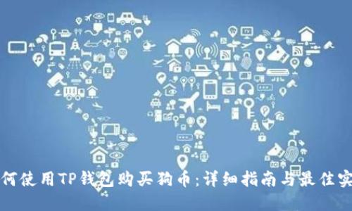 如何使用TP钱包购买狗币：详细指南与最佳实践
