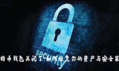 比特币钱包关闭了：如何恢复你的资产与安全策